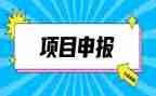 申报中一教师述职报告6篇