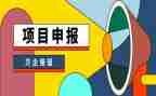 申报小学高级职称述职报告5篇