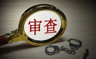 调查审查工作总结7篇