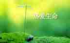 生命生命的教学反思7篇