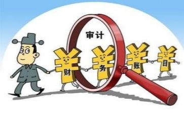审计局工作个人总结5篇