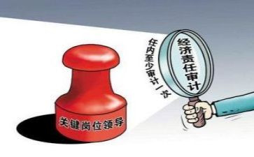 半年度审计工作总结参考8篇