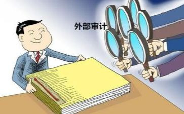 审计工作的工作总结优质6篇