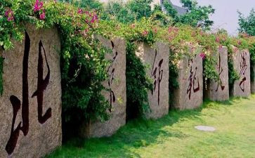 幼儿园教师大班心得体会通用8篇