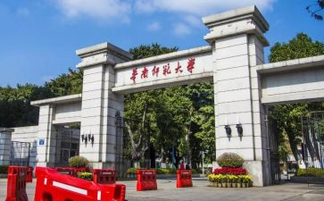 师范生实习队总结报告7篇