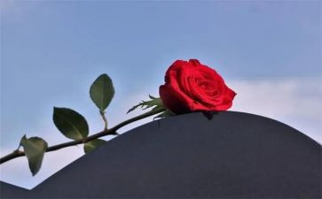 无法失去的记忆作文优质6篇