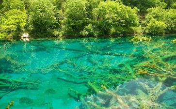 《水》大班教案最新7篇