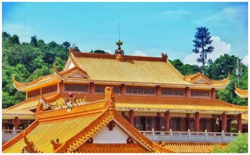 寺库调研报告参考7篇