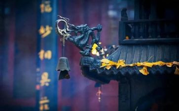 寺库调研报告最新7篇