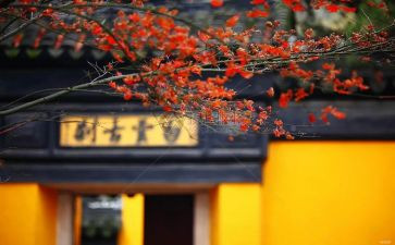 寺库调研报告7篇