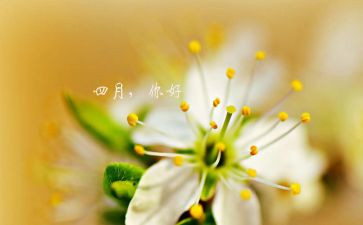 四月计划工作计划5篇