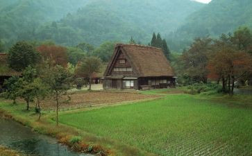 田园作文模板7篇