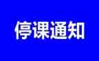 停课不停学线上教学总结6篇