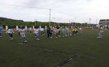 小学体卫芑工作计划7篇