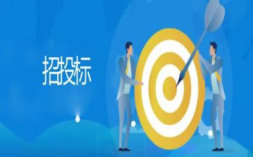 投标工作个人总结7篇