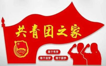 校团组织工作总结7篇