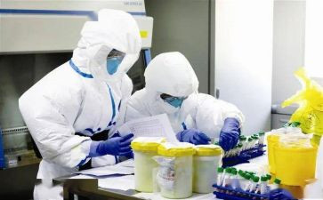 卫生部工作月计划模板5篇