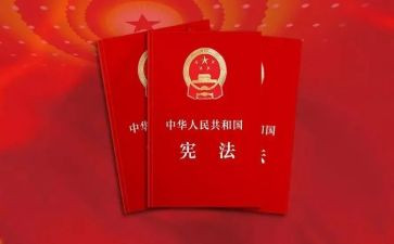 宪法小卫士活动总结6篇