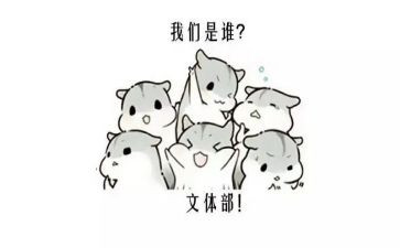 文体部的工作总结6篇