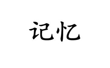 记忆中的你800字作文8篇
