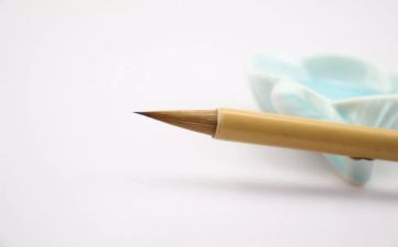 我想变成一只熊的作文6篇