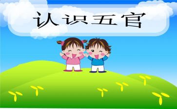 五官歌教案模板5篇