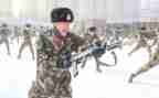 武警部队士官述职报告6篇