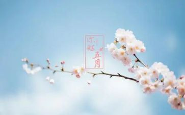 五月周工作计划通用8篇