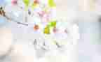 幼儿园小班五月份工作总结6篇