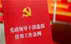 乡镇干部2024年度工作总结7篇