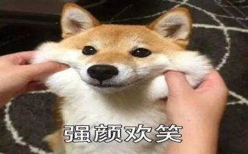 难忘微笑作文推荐7篇