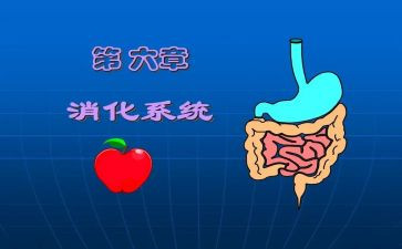 消化内科的工作总结5篇