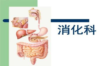 消化科工作总结范文8篇