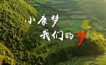 同步小康的述职报告5篇