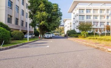 校内策划活动青协活动方案8篇