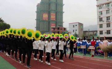 学校运动会活动总结范文6篇