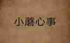 小孝心事迹材料精选6篇