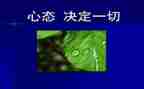 《心态》读后感模板6篇