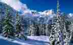 滑雪馆活动策划5篇