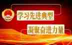 小学典型事迹材料6篇