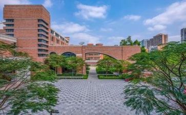 学校副校长述职报告2024版范文7篇