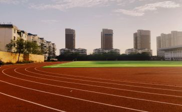 2024年学校体育卫生工作总结6篇