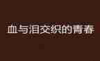 观看血与泪心得体会推荐7篇