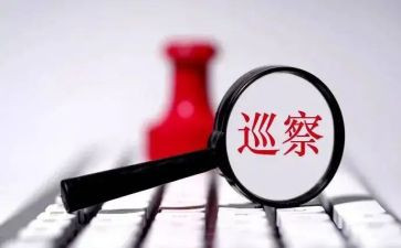 巡察中述职报告7篇