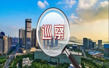 向巡察组的汇报材料6篇