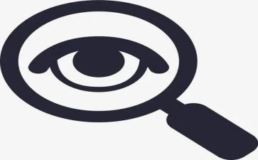 巡查报告总结8篇