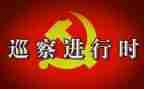 巡察组组长心得体会6篇