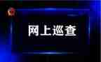 巡查工作总结5篇