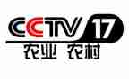 央视纪录片的心得体会5篇