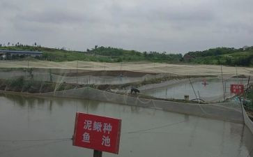 合伙养殖合同5篇